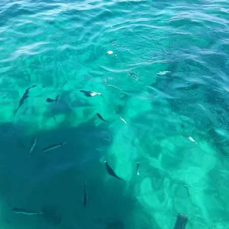 Casa Girasole Giglio Castello